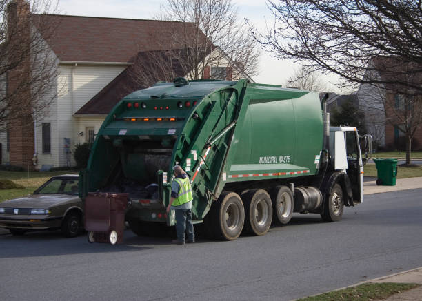 Best Shed Removal  in USA